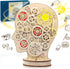 3D Wooden Brainstorming LED Skull Model Kit